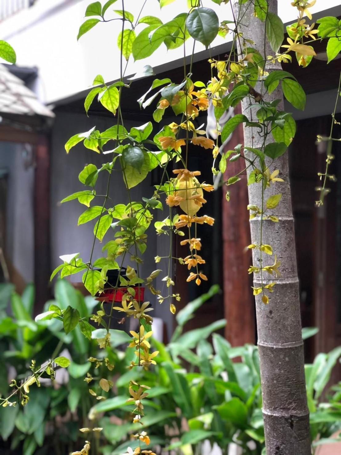 Khammon Lanna Resort Чиангмай Екстериор снимка